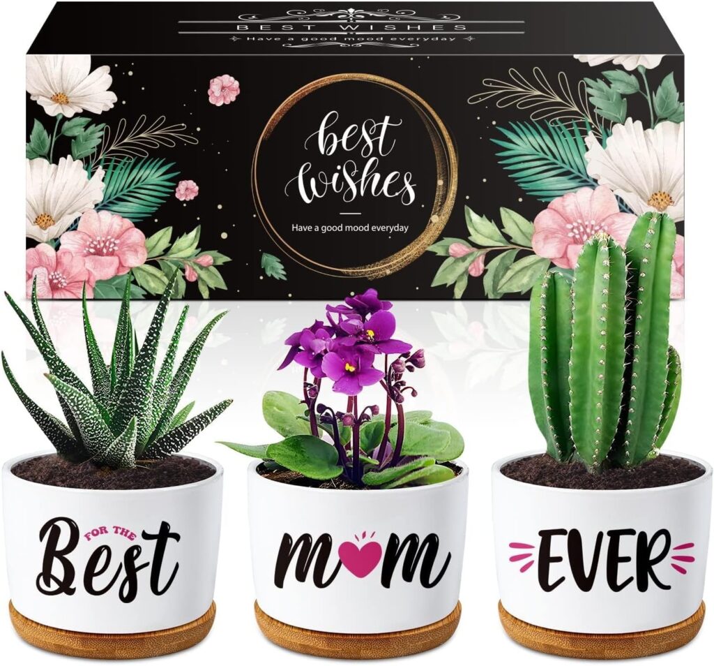 Buioata Gifts for Mum, Mum Birthday Gifts, Mothers Day Mum Gifts -Succulent Planters Best Mum Ever Gifts for Mum on Her Birthday, Mum Gifts from Daughter Son, Mummy Gifts for Mummy, Mum Presents