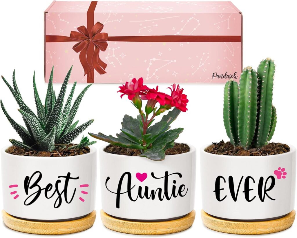 Pandasch Auntie Gifts, Auntie Birthday Gifts, Best Auntie Ever Succulent Planters, Gifts for Auntie from Niece or Nephew, Special Presents for Auntie on Mothers Day Birthday Christmas